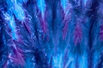 Alternate product image 2