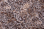 Alternate product image 1