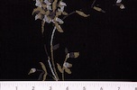 Alternate product image 2