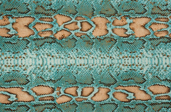 Snake Prints (Beige/Turquoise)
