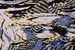 Printed ITY (Blue/Black/White/Multi)