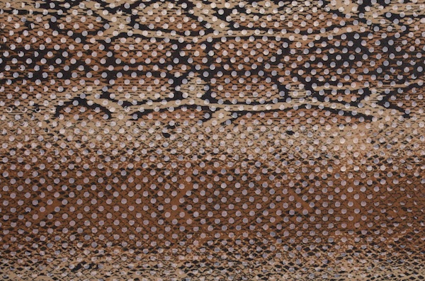 Animal Print Holograms (Black/Beige/Clear)