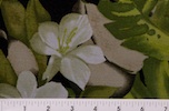 Alternate product image 2