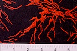 Alternate product image 2