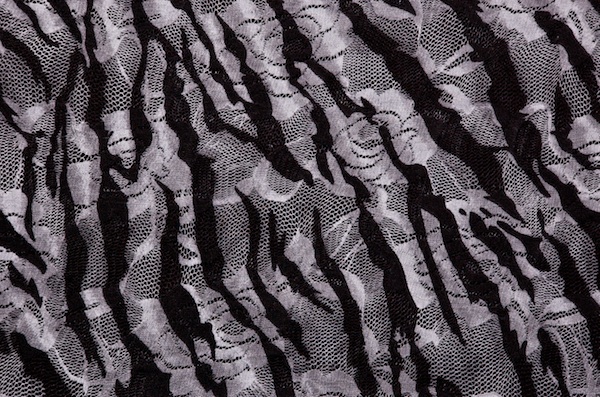 Stretch Printed Lace (Gray/Black/Multi)