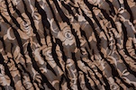 Alternate product image 1