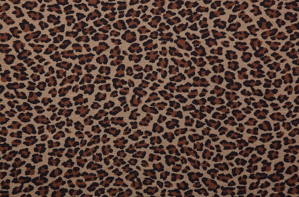 Printed Mesh (Black/Beige/Brown)