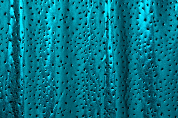 Metallic Pattern Spandex (Turquoise)