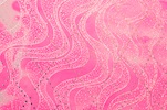Alternate product image 1