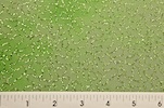 Alternate product image 2