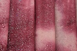 Sheer Glitter/Pattern (Wine, Burgundy, Beige)