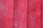 Sheer/Glitter Pattern (Light pink)