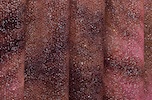 Alternate product image 1