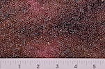 Alternate product image 2