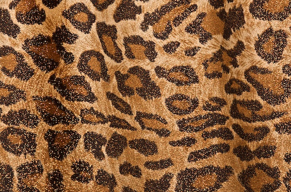 Animal Prints Glitter Velvet (Brown/Black/Gold)