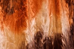 Alternate product image 1