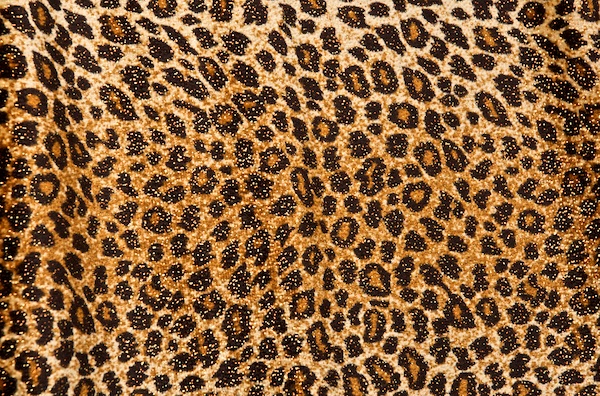 Animal Prints Glitter Velvet (Brown/Black/Golden)