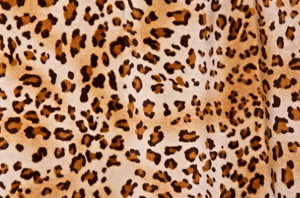 Animal Print Stretch Velvet (Black/Brown/Beige)