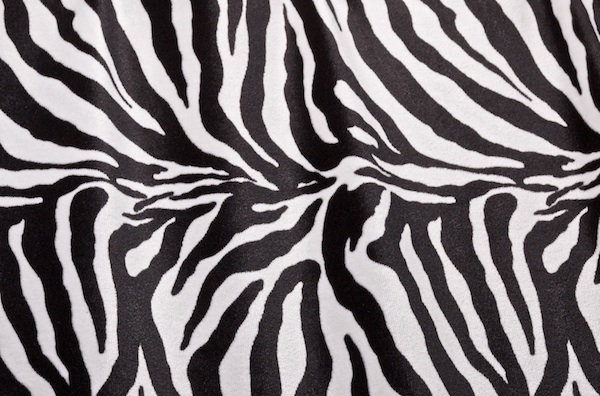 Zebra  Pattern Velvet (Black/White)