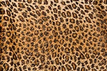 Alternate product image 1
