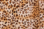 Animal Print Stretch Velvet (Black/Brown/Beige)