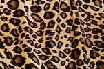 Leopard  Pattern velvet (Black/Beige/Brown)