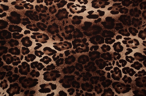 Animal Prints (Brown/Beige/Black)