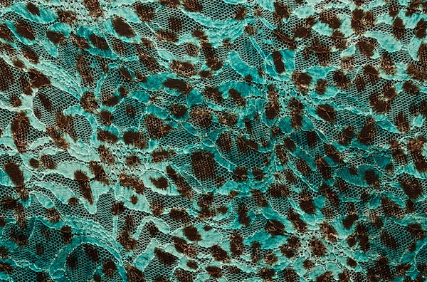 Stretch Printed Lace (Teal, Brown, Multi)