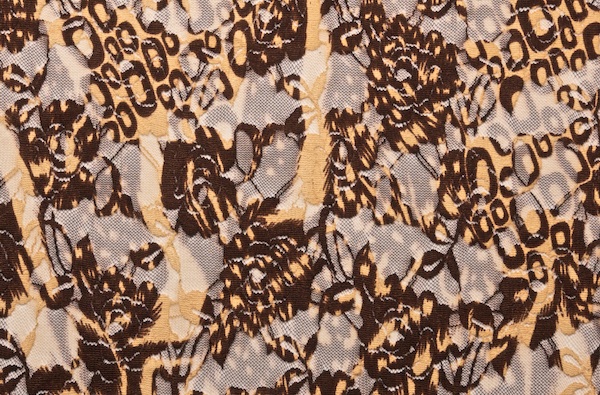 Stretch Printed Lace (Beige/Brown/Multi)