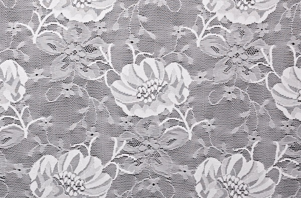 Stretch Lace (White)
