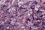 Alternate product image 1