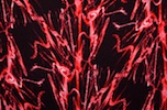Alternate product image 1