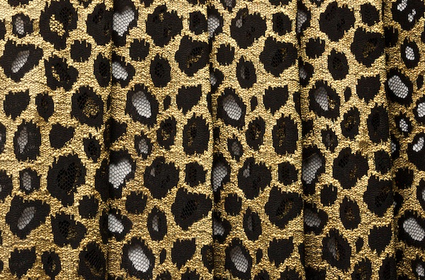 Stretch Printed Lace (Black/Gold)
