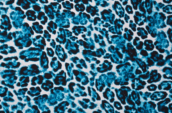 Animal Prints (White/Black/Turquoise)