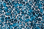 Animal Prints (White/Black/Turquoise)