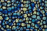 Printed Spandex (Royal/Lime/Multi)