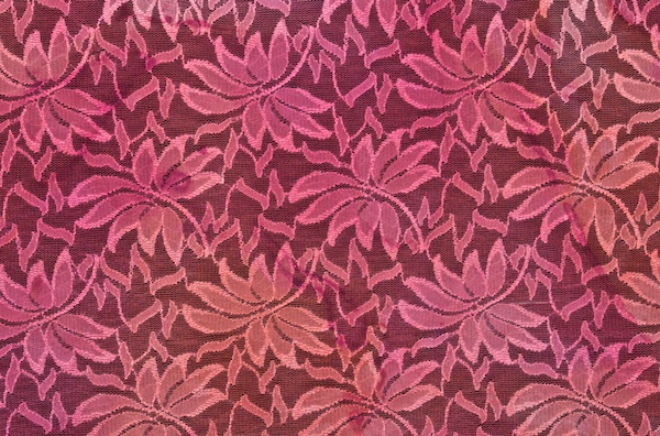 Stretch Printed Lace (Fuchsia/Multi)