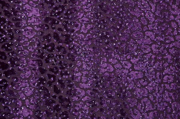 Novelty Spandex (Purple/Purple)