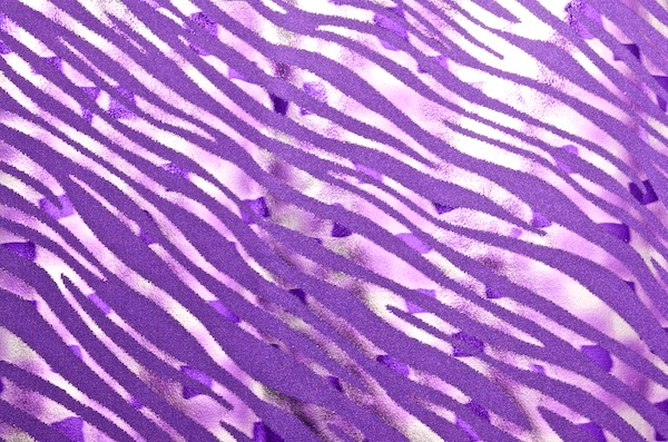 Pattern/Abstract Hologram (Purple/Purple/Multi)