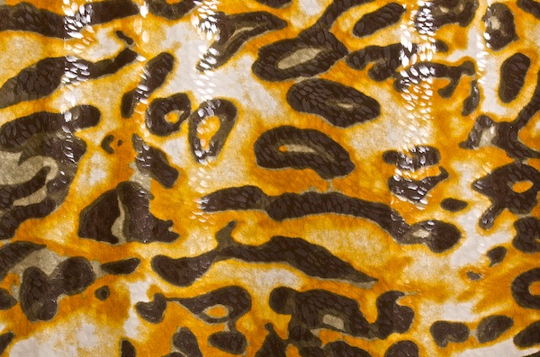 Animal Print Hologram (Black/Beige/Gold/Clear)