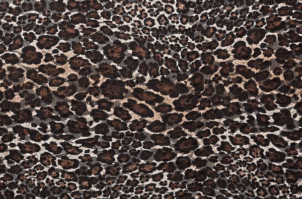 Stretch Printed Lace (Black/Brown/Beige)