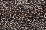 Alternate product image 1