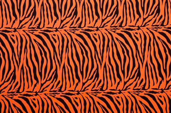 Animal Prints (Orange/Black)