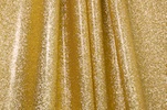 Glitter Mesh Spandex Gold Nude #1