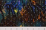 Alternate product image 2