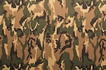 Printed Camouflage (Olive/Black/Beige/Multi)