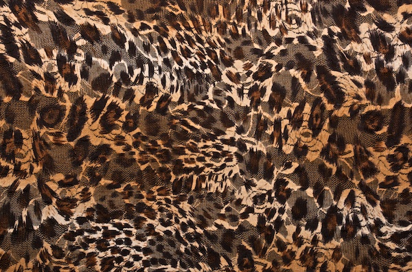 Stretch Printed Lace (Black/Brown/Multi)