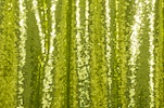 Alternate product image 1