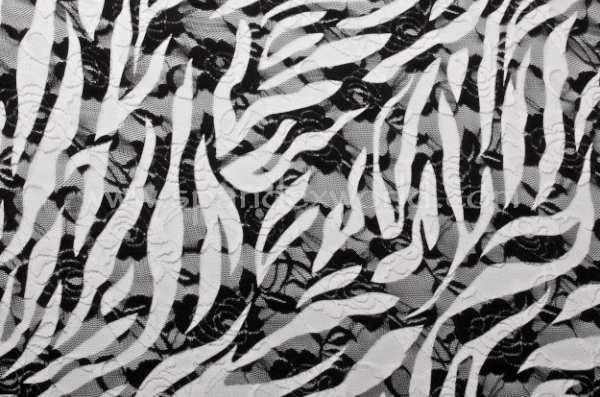 Stretch Printed Lace (Black/White)