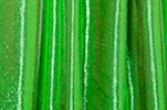 Stretch Lame (Green)